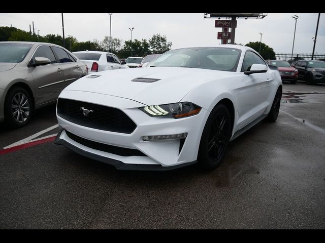 2019 Ford Mustang EcoBoost