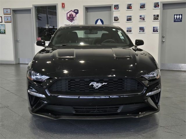 2019 Ford Mustang EcoBoost