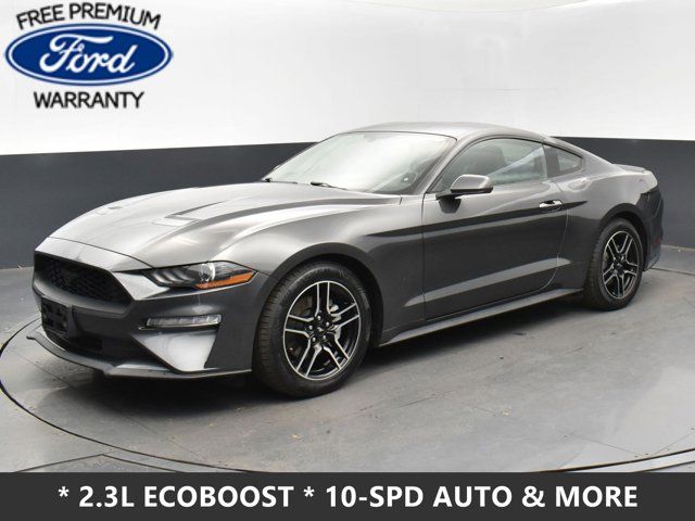 2019 Ford Mustang EcoBoost