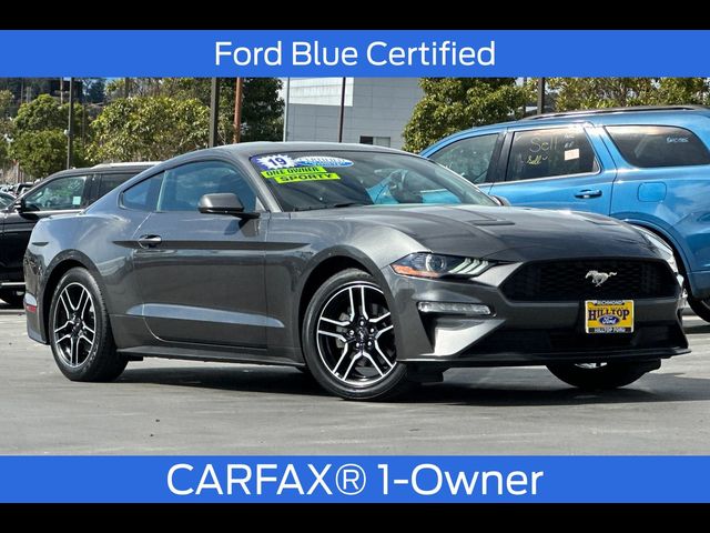 2019 Ford Mustang EcoBoost