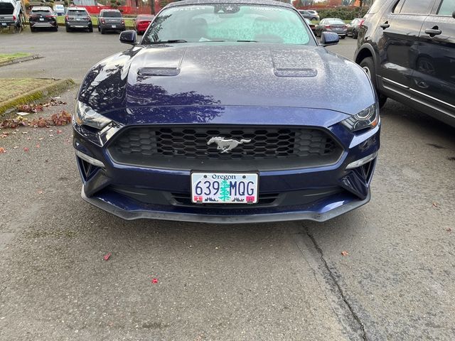 2019 Ford Mustang EcoBoost