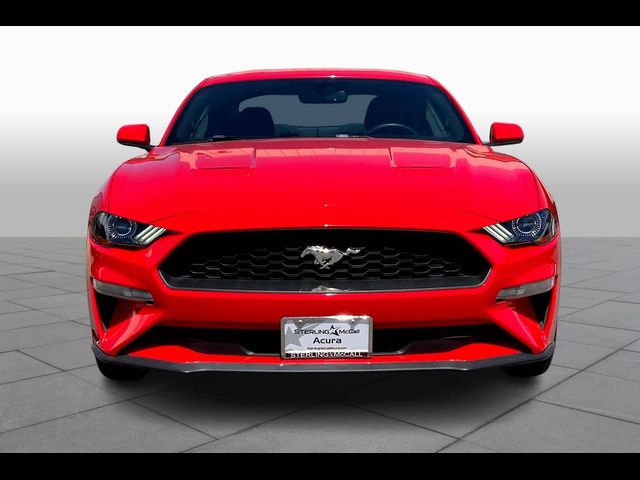 2019 Ford Mustang EcoBoost