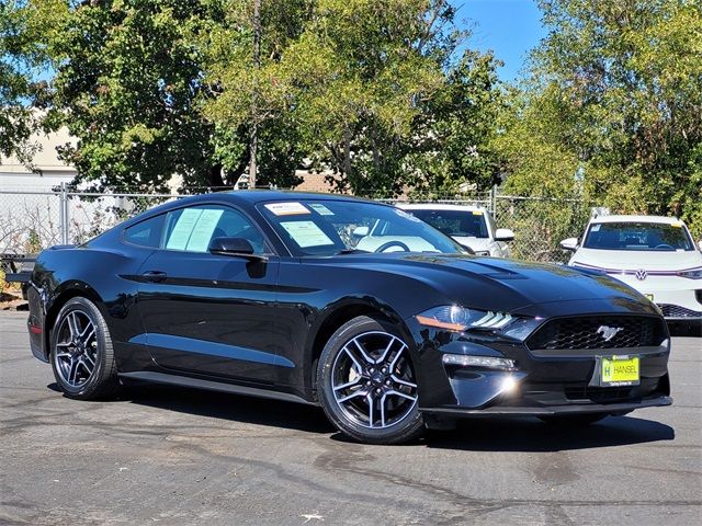 2019 Ford Mustang EcoBoost