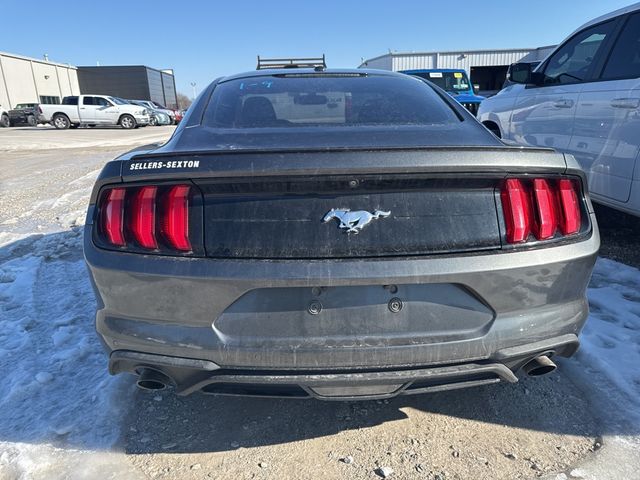 2019 Ford Mustang EcoBoost