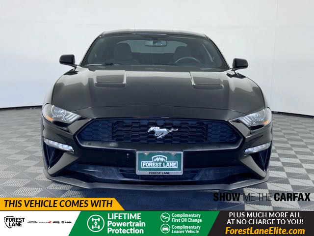 2019 Ford Mustang EcoBoost