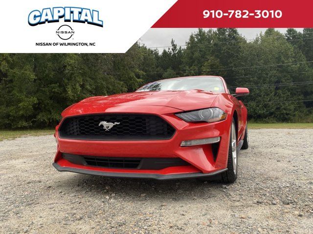 2019 Ford Mustang EcoBoost