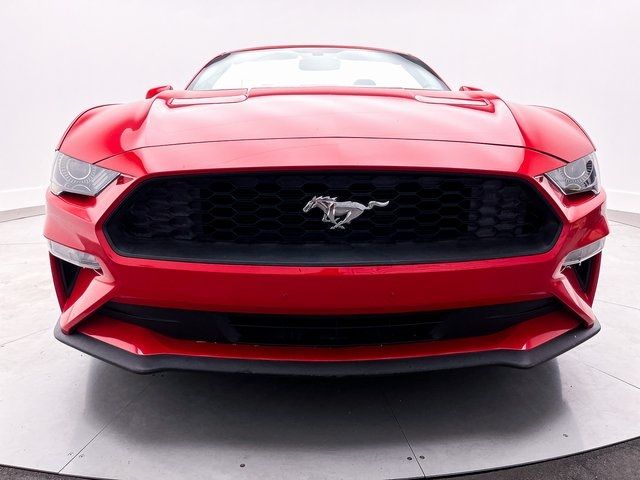Grille Kit | FORD MUSTANG CONVERTIBLE ECOBOOST 2019 Grille Kit | FORD MUSTANG CONVERTIBLE ECOBOOST 2019