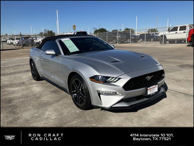 2019 Ford Mustang EcoBoost