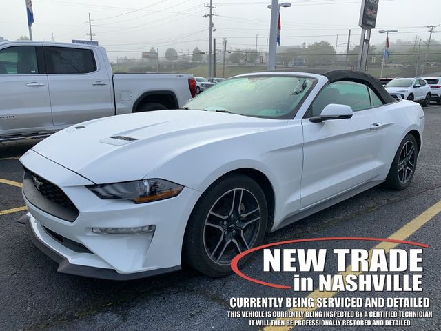 2019 Ford Mustang EcoBoost