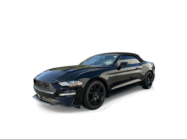 2019 Ford Mustang EcoBoost