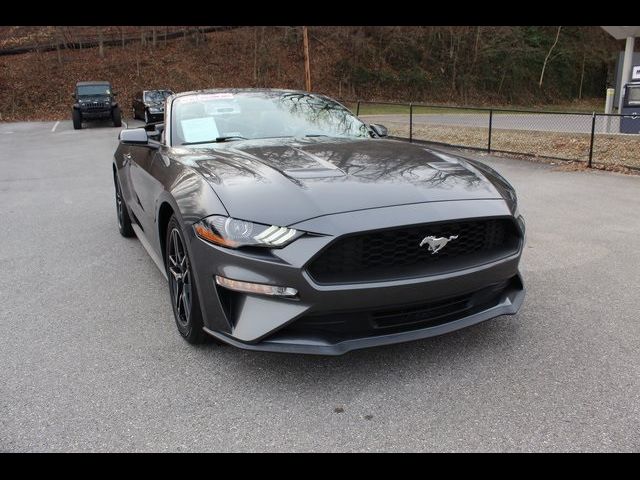 2019 Ford Mustang EcoBoost