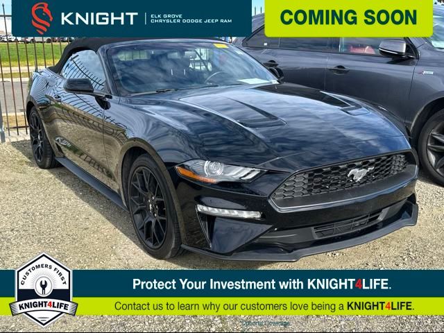 2019 Ford Mustang EcoBoost