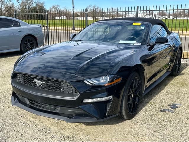 2019 Ford Mustang EcoBoost