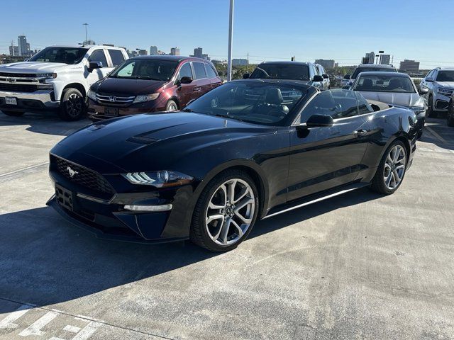 2019 Ford Mustang EcoBoost