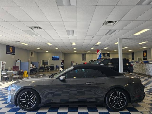 2019 Ford Mustang EcoBoost