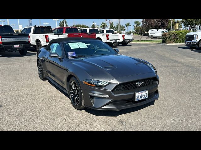 2019 Ford Mustang EcoBoost