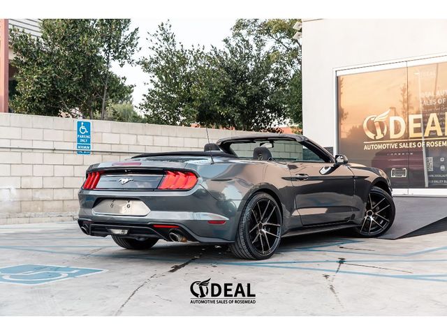 2019 Ford Mustang EcoBoost