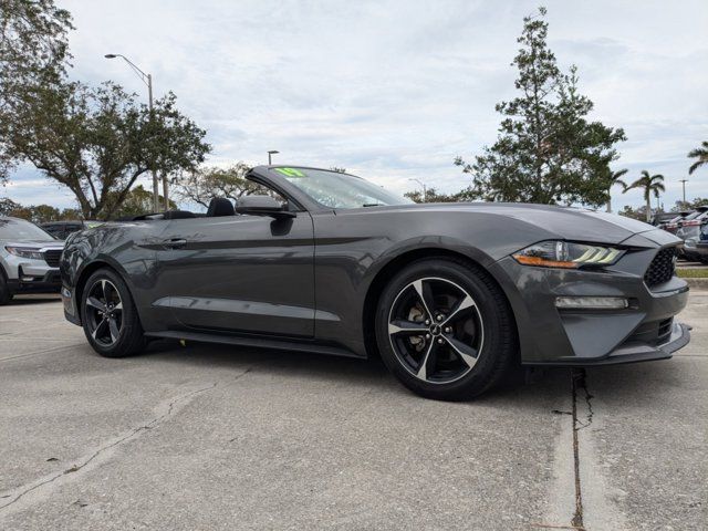 2019 Ford Mustang EcoBoost