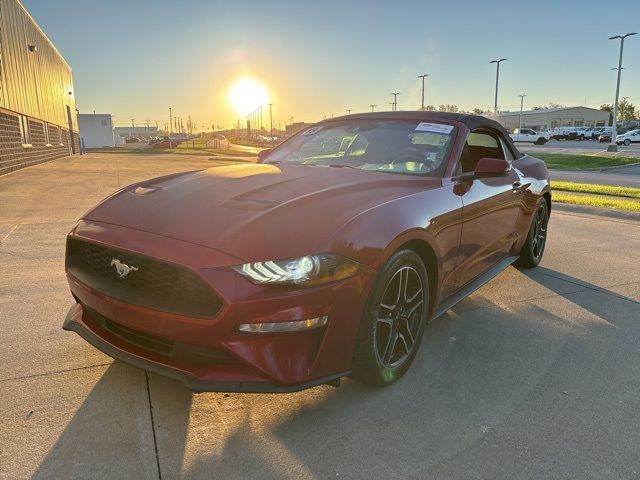 2019 Ford Mustang EcoBoost