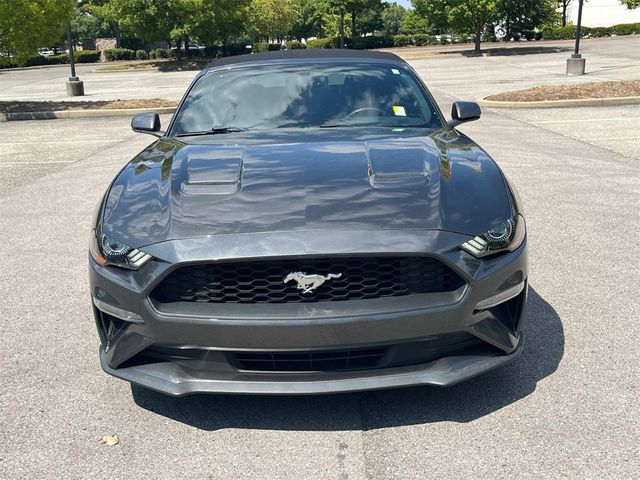 2019 Ford Mustang EcoBoost