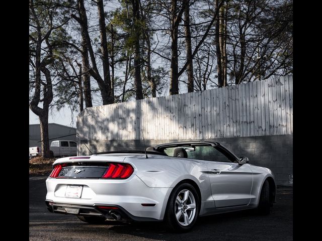 2019 Ford Mustang EcoBoost