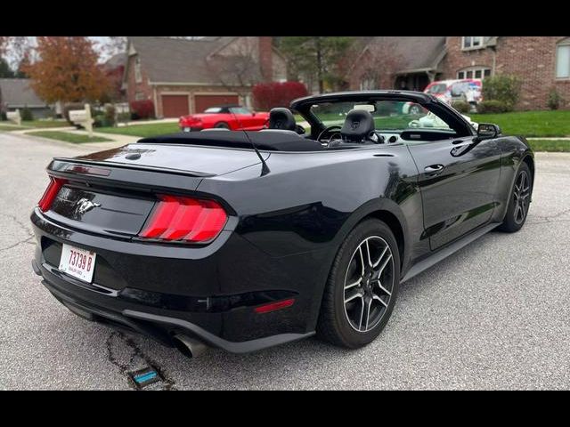 2019 Ford Mustang EcoBoost