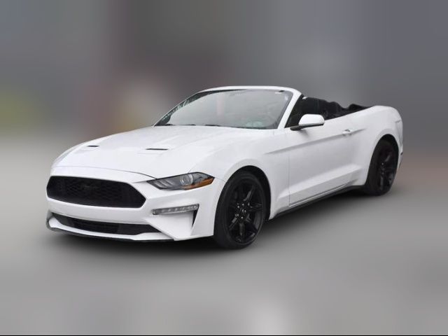 2019 Ford Mustang EcoBoost