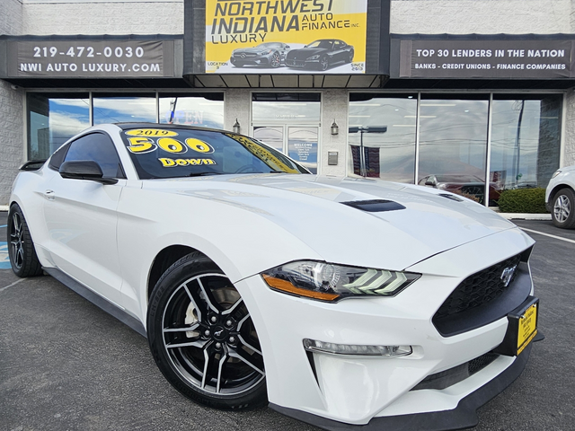 2019 Ford Mustang 