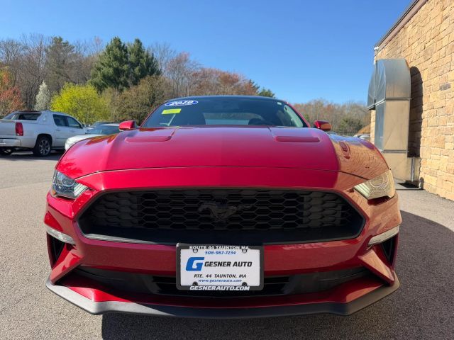 2019 Ford Mustang EcoBoost