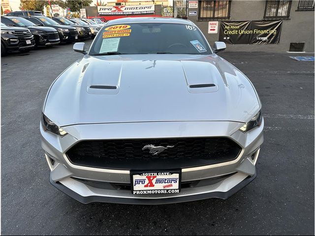 2019 Ford Mustang 