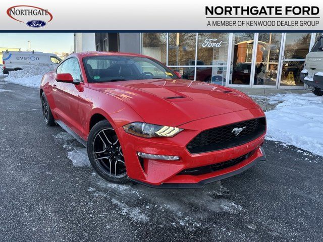 2019 Ford Mustang EcoBoost Premium