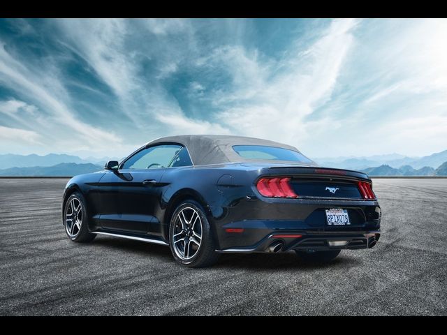 2019 Ford Mustang EcoBoost Premium