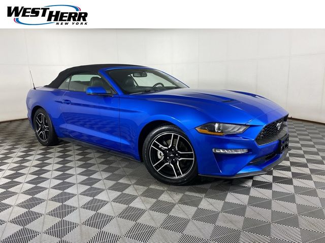 2019 Ford Mustang EcoBoost Premium
