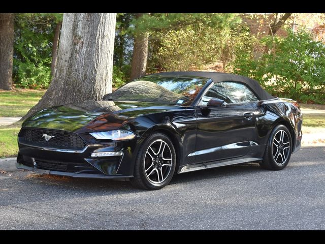 2019 Ford Mustang EcoBoost Premium