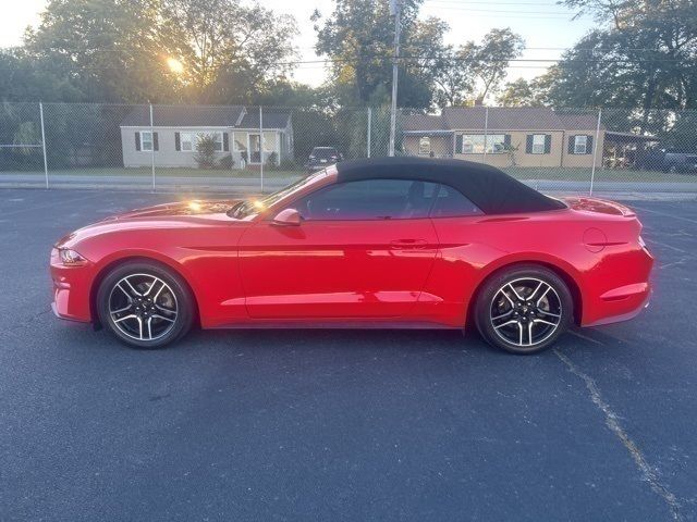 2019 Ford Mustang EcoBoost