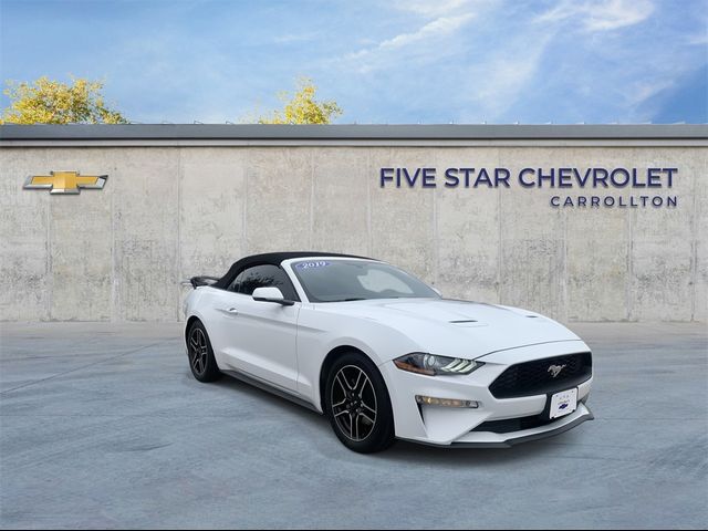 2019 Ford Mustang 