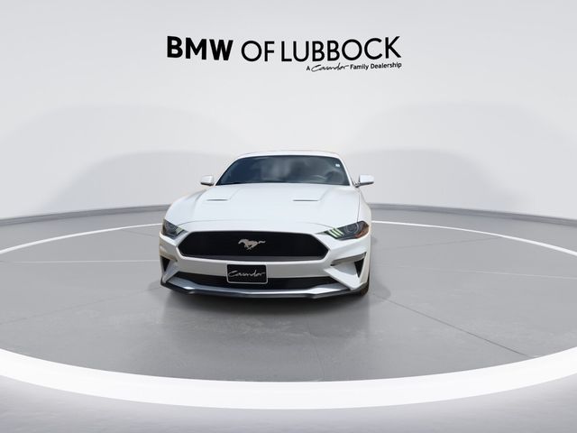 2019 Ford Mustang EcoBoost