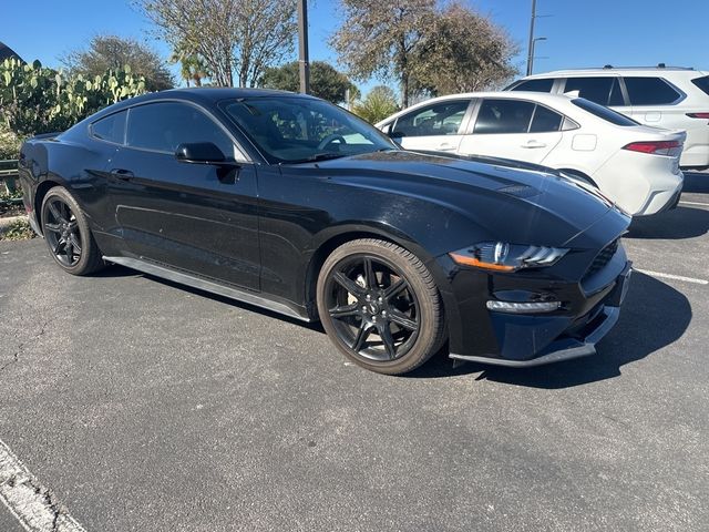 2019 Ford Mustang EcoBoost