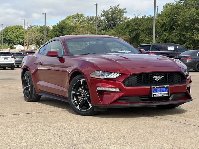 2019 Ford Mustang EcoBoost