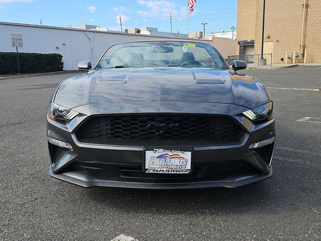 2019 Ford Mustang EcoBoost