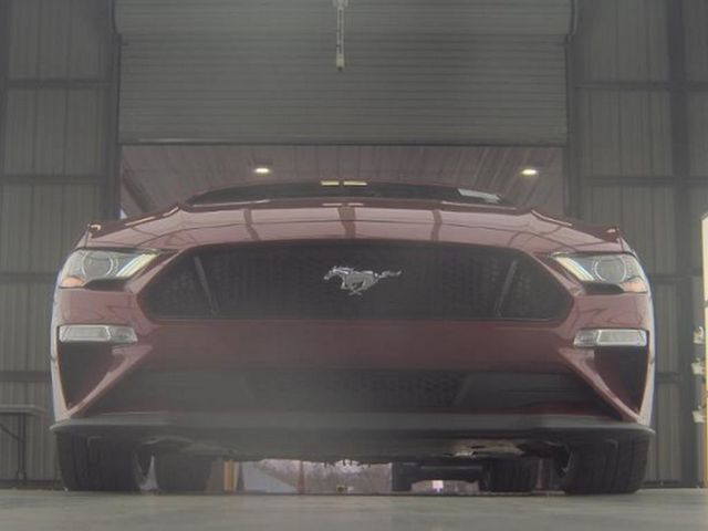 2019 Ford Mustang GT