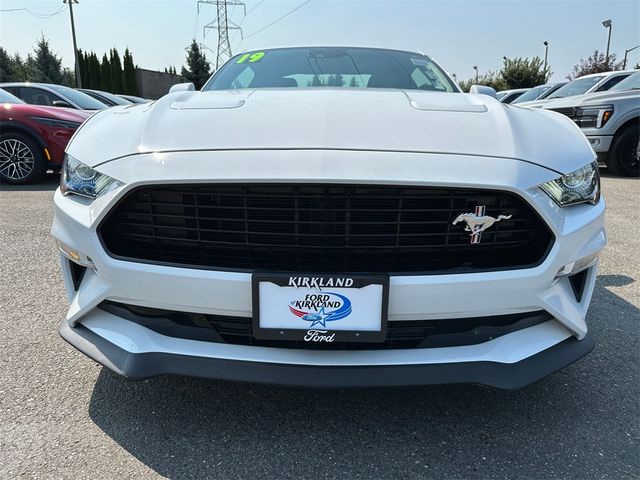 2019 Ford Mustang GT Premium