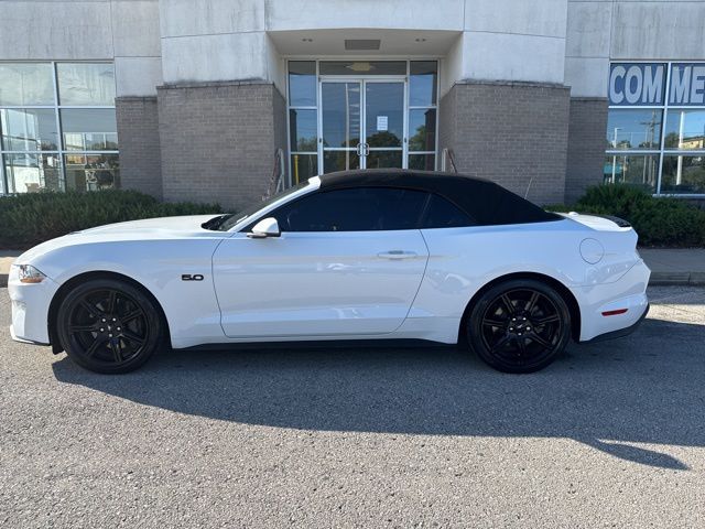 2019 Ford Mustang GT Premium