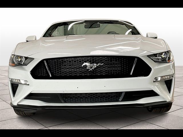Grille Kit | FORD MUSTANG  CONVERTIBLE GT 2019