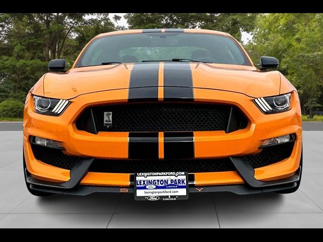 2019 Ford Mustang Shelby GT350