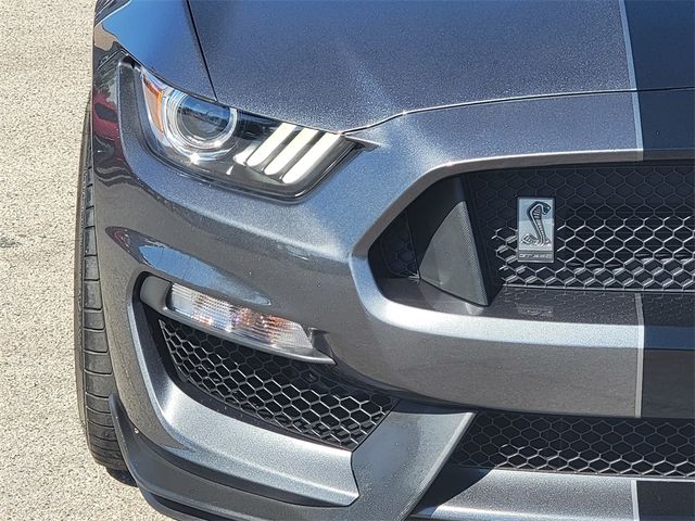 2019 Ford Mustang Shelby GT350