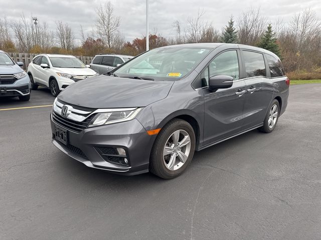 2019 Honda Odyssey EX