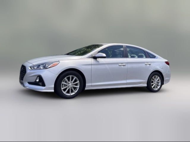 2019 Hyundai Sonata Eco
