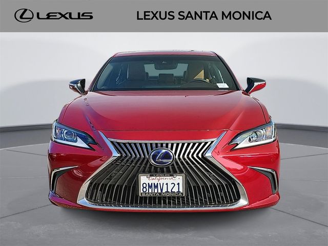 2019 Lexus ES 