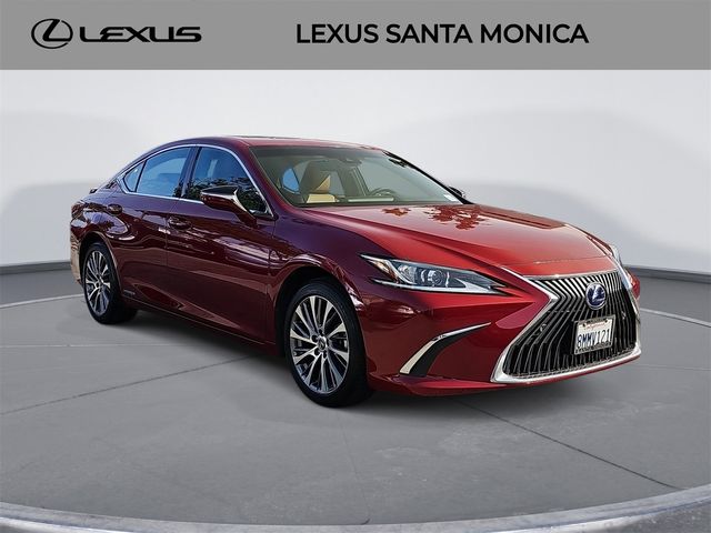 2019 Lexus ES 